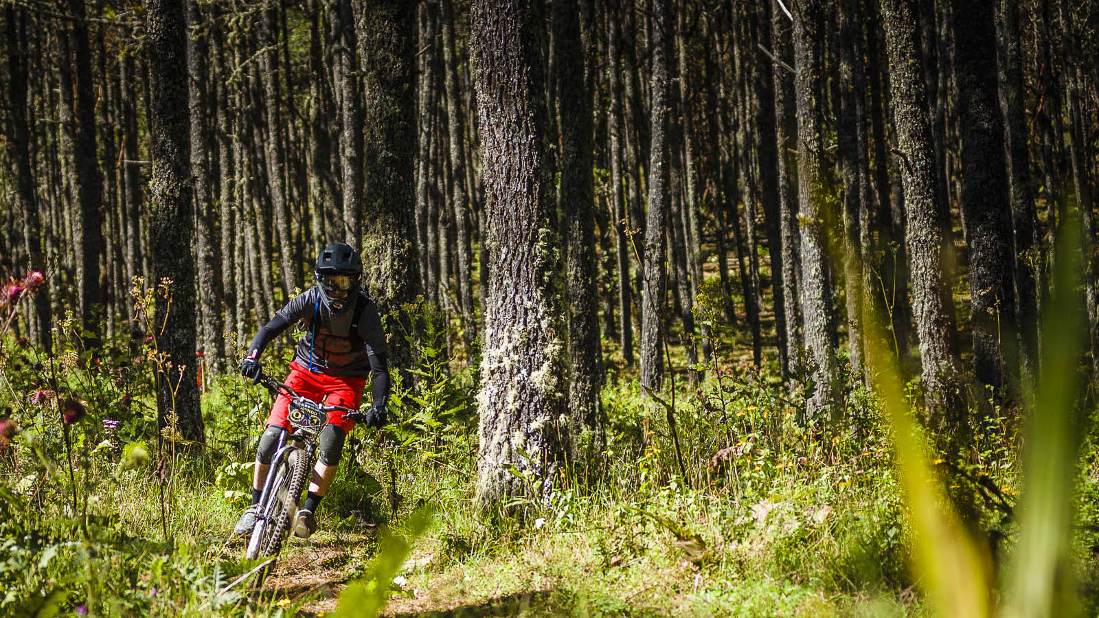 Edmundo Fuentes Transierra Norte